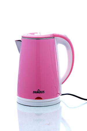 FAMOUS TRENDY 1500W ELETRIC JUG