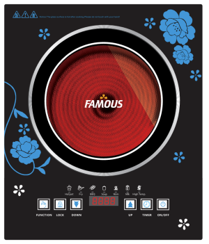 FAMOUS E-FLAME (2000W) INFARED INDUCTION