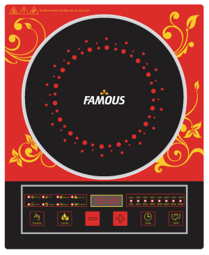 FAMOUS E-COOK+PRO (2200W) INDUCTION